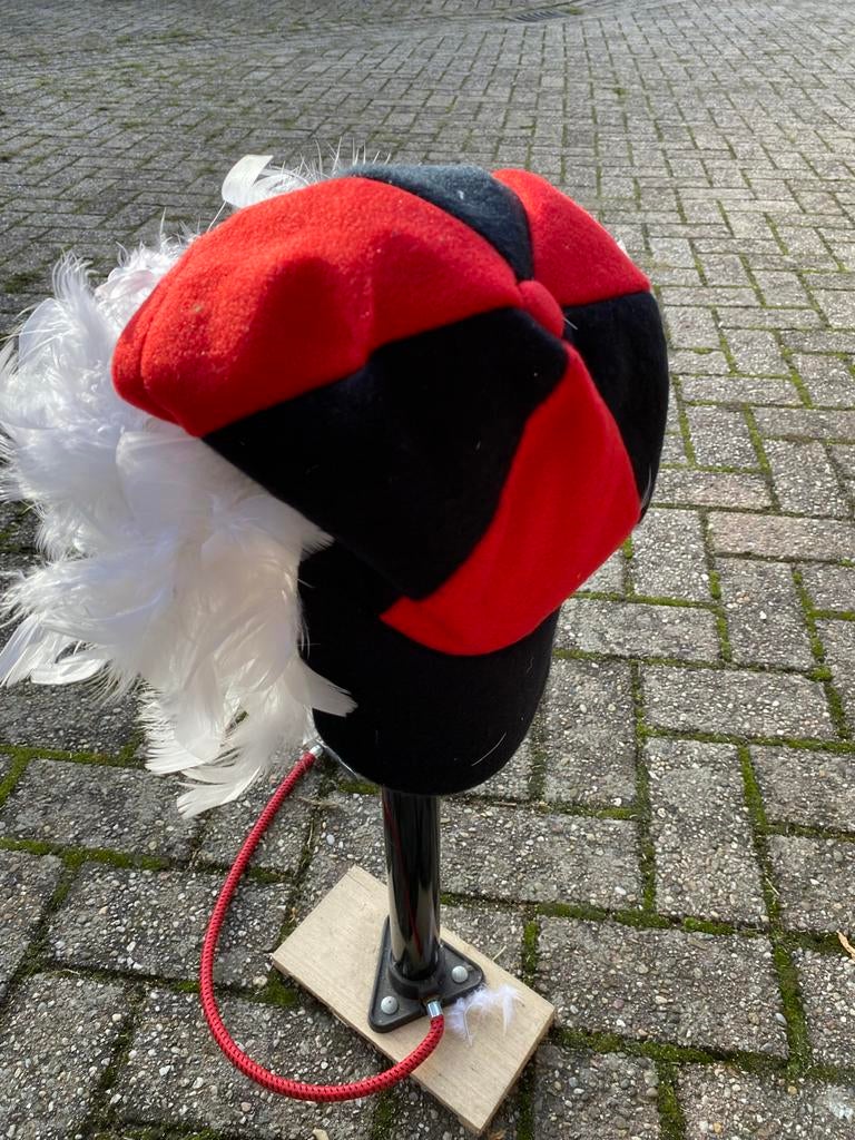 Carnaval kostuums Kwik Kwek Kwak Donald Duck - Maat, Ophalen, Carnaval, Maat 46/48 (XL) of groter, Zo goed als nieuw