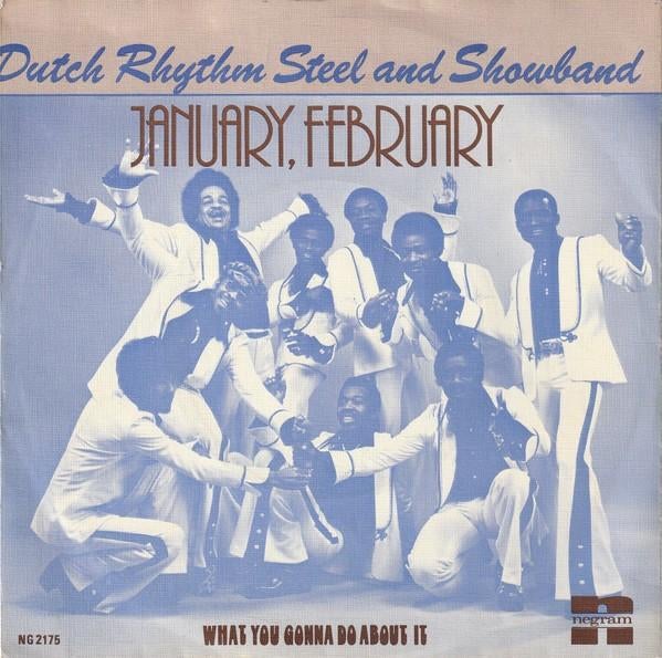Dutch Rhythm Steel & Showband - January, February, Ophalen of Verzenden, Gebruikt