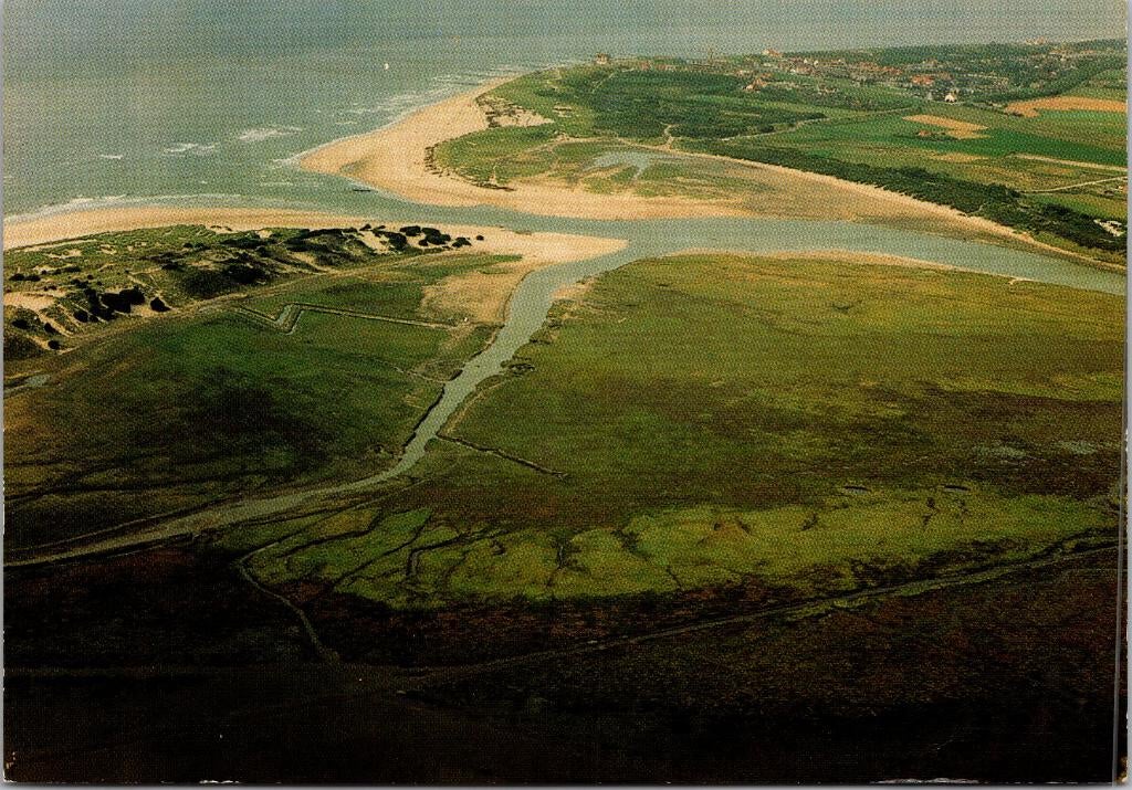 Zeeland - West Zeeuws Vlaanderen Natuurreservaat Het Zwin, Ophalen of Verzenden, 1960 tot 1980, Ongelopen, Zeeland