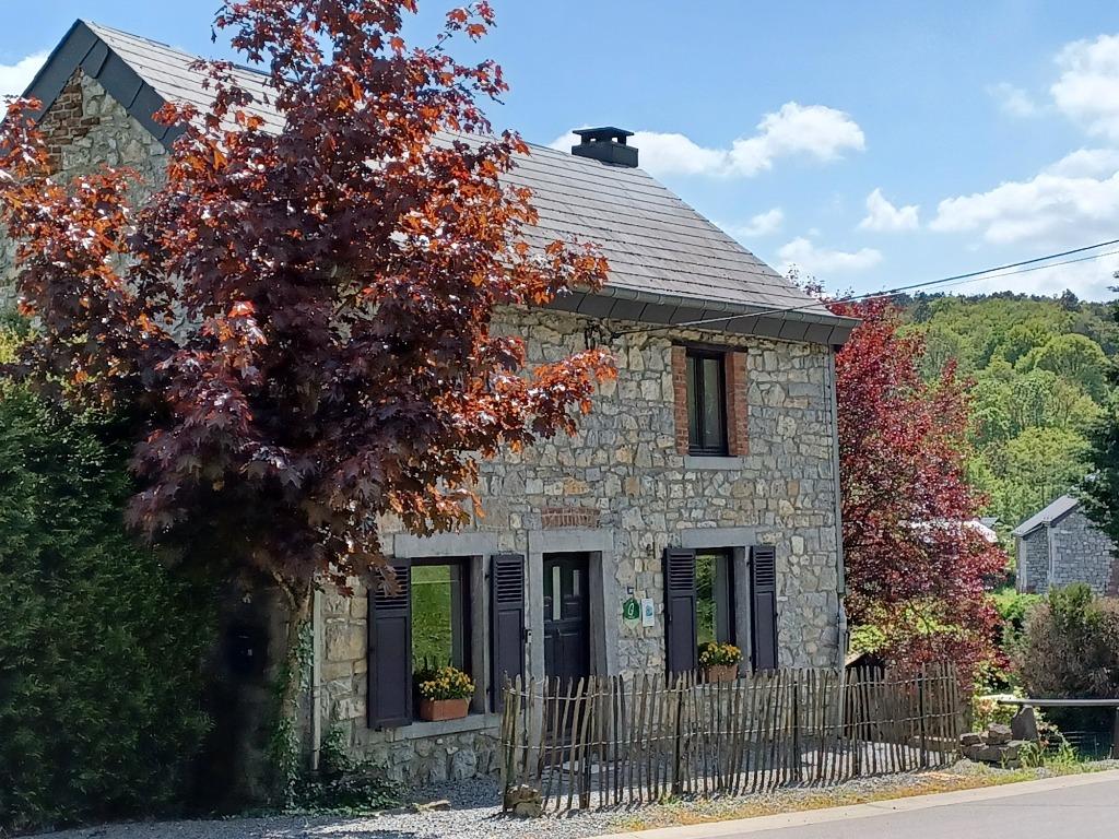 Natuurhuisje uitzicht en rust. Promo juli augustus 790€/week, 5 personen, Open haard, In bergen of heuvels, Landelijk