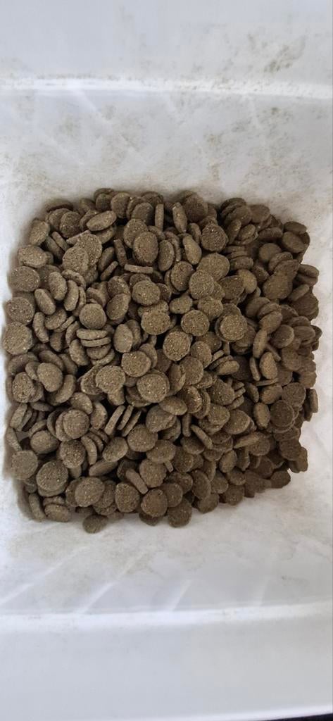 Algen wafels, wafers voer voor algeneters met oa Spirulina, Ophalen of Verzenden