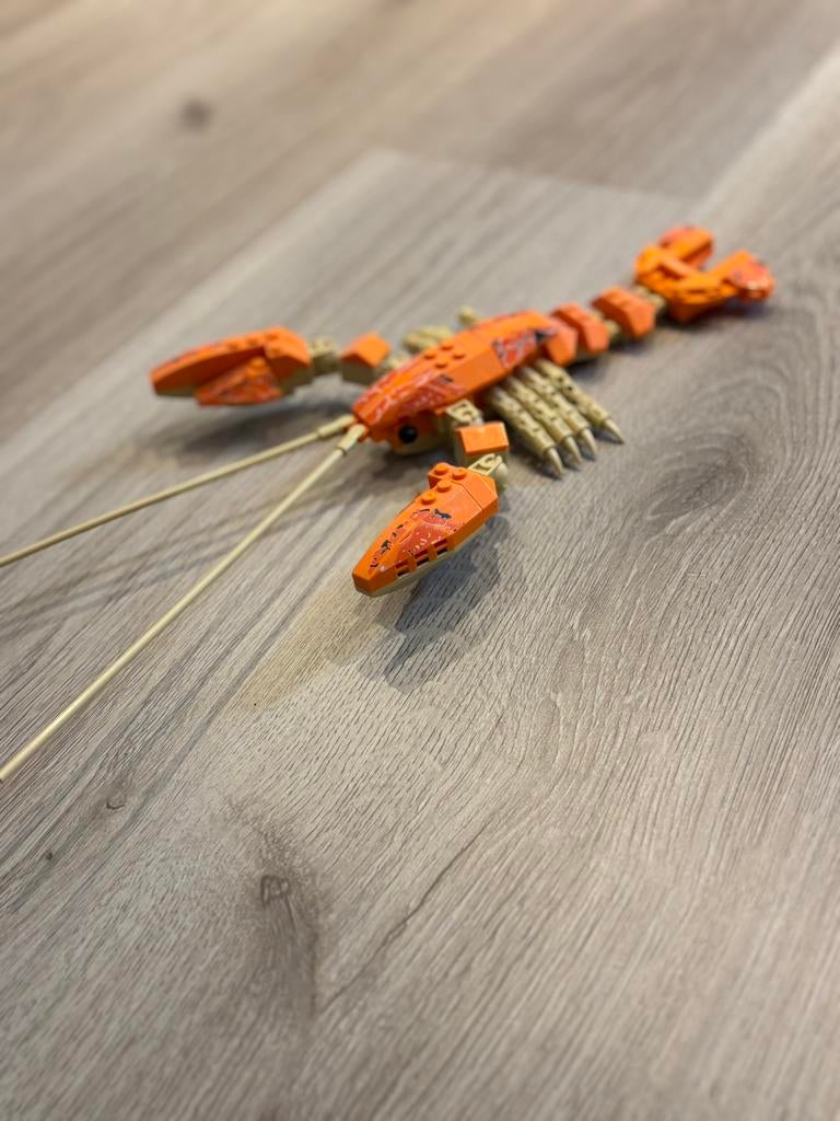 Lego kreeft, Ophalen