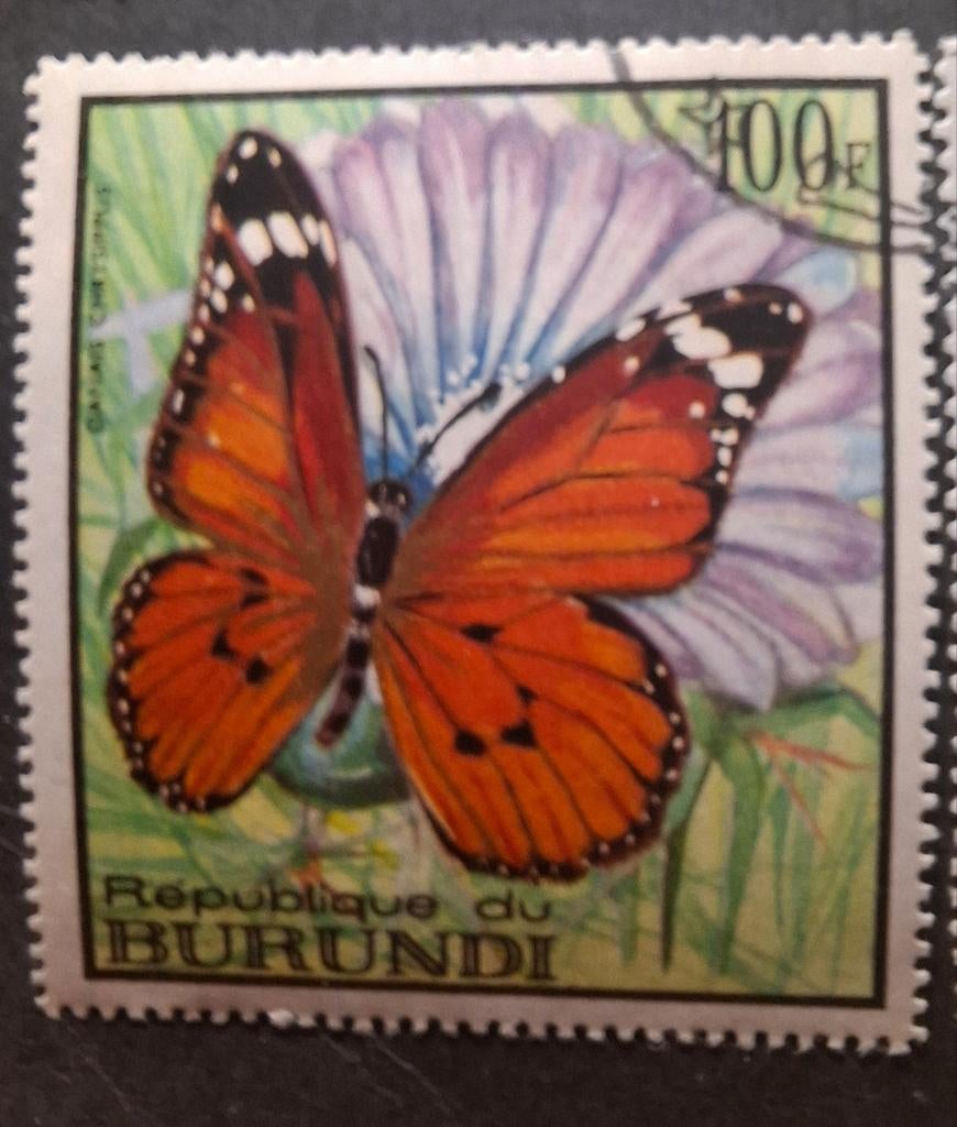 Burundi vlinder 1, Ophalen of Verzenden, Dier of Natuur