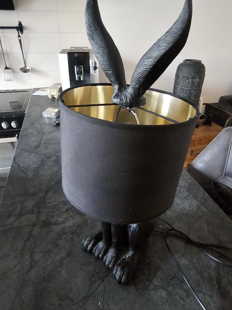 Mooie lamp, Ophalen, Zo goed als nieuw, Overige materialen, 50 tot 75 cm
