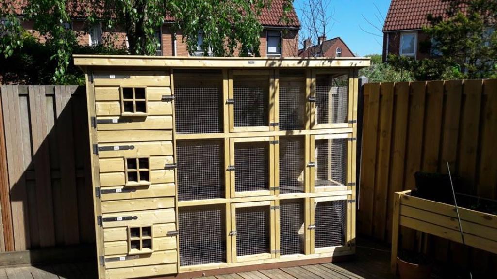 DIERVERBLIJF FLAT 🐰 op maat 🐰 onderhoudsvrij HOK, Dieren en Toebehoren, Ophalen, 110 cm of meer, Nieuw, Hamster