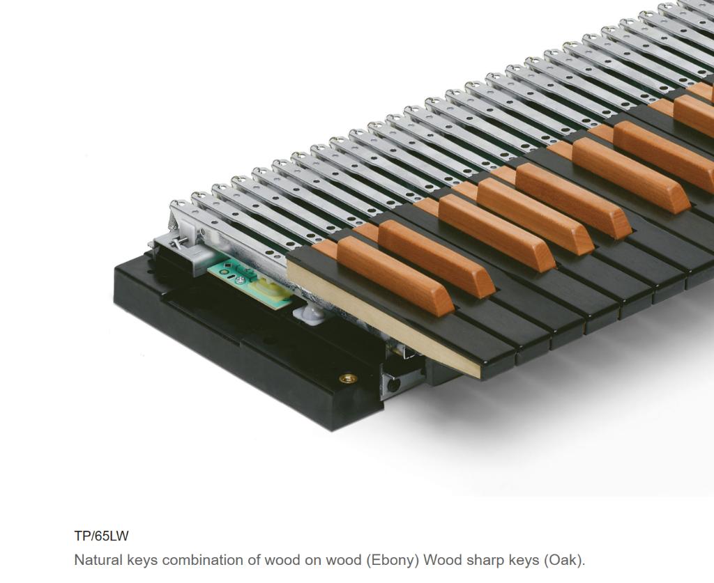 GEVRAAGD: Fatar TP64LW of TP65LW klavier, Ophalen of Verzenden, Zo goed als nieuw, 1 klavier, Orgel
