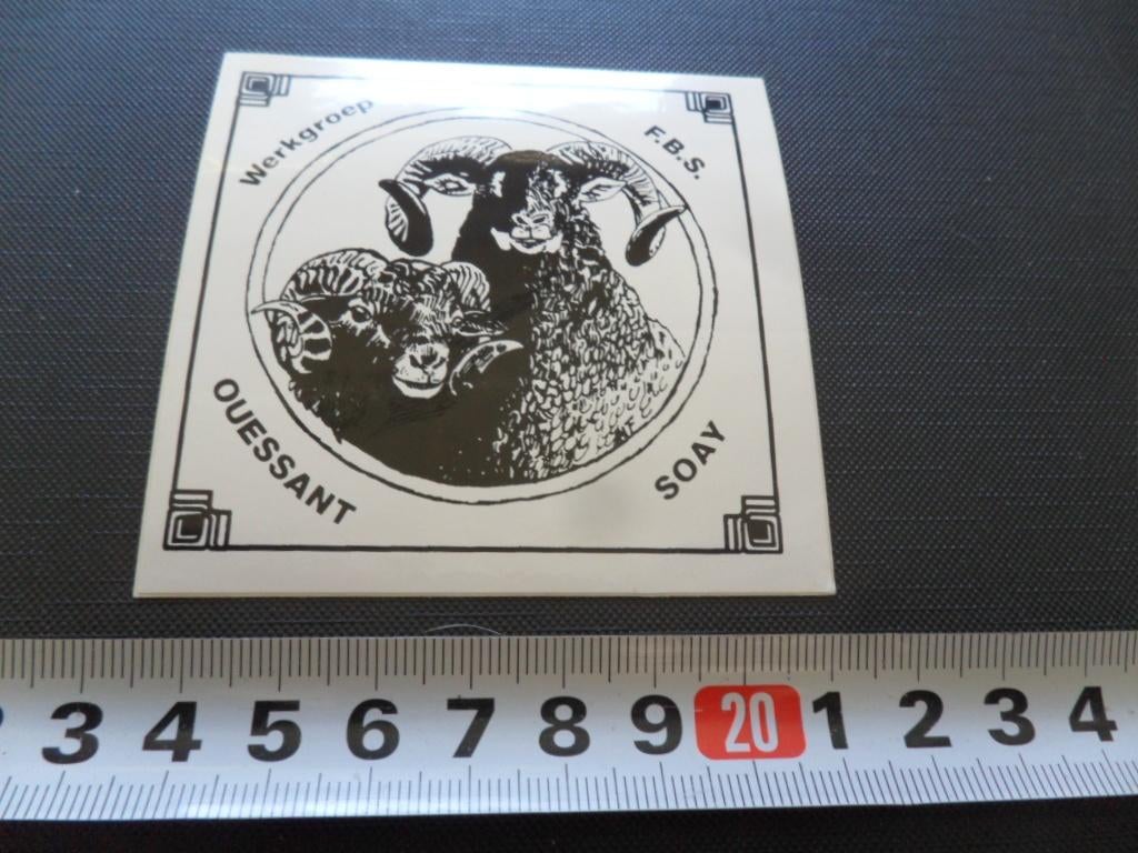 sticker Werkgroep F.B.S. Ouessant Soay, Ophalen, Zo goed als nieuw