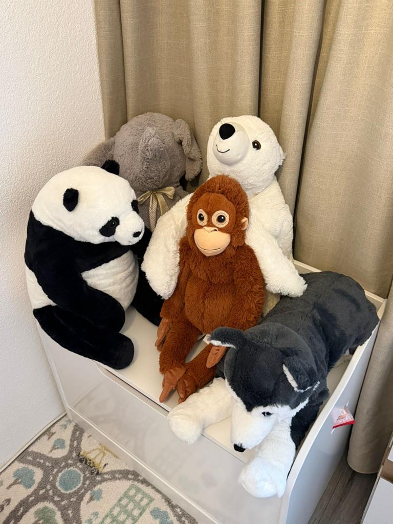 Grote knuffelcollectie: panda, ijsbeer, aap, hond, olifant, Ophalen, Zwart, Zo goed als nieuw, Middelgroot (20 tot 80 cm)