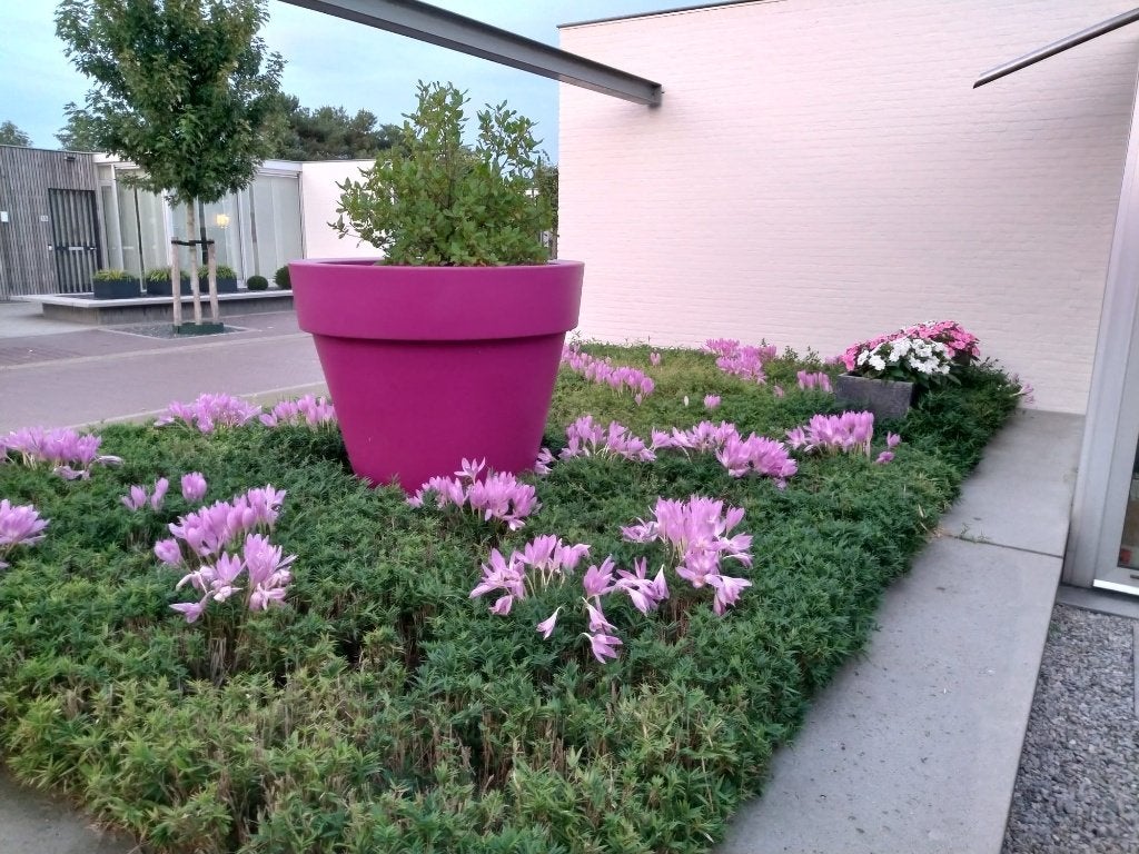 ELHO, Tuin en Terras, Ophalen, Kunststof, 100 cm of meer, Rond