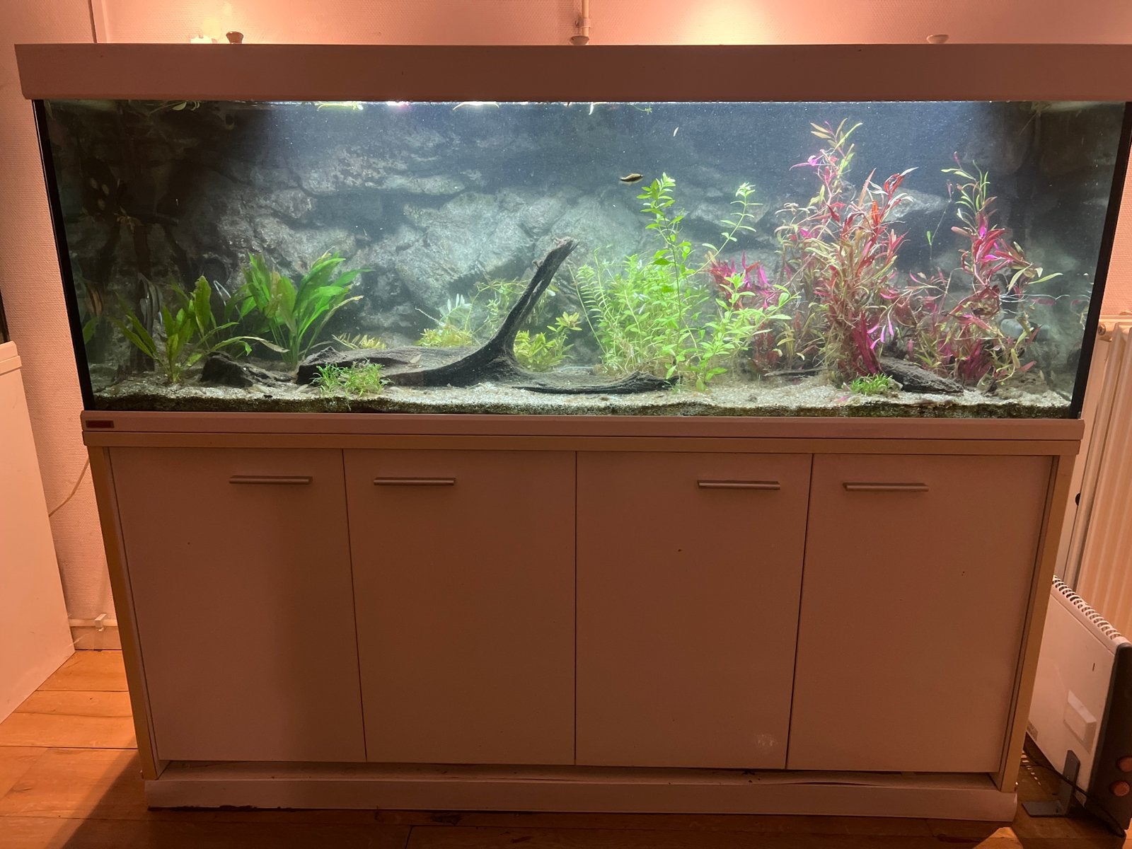 Aquarium Eheim Scubaline 640 met filterpomp en Dennerle CO2, Dieren en Toebehoren, Ophalen, Gebruikt, Gevuld zoetwateraquarium