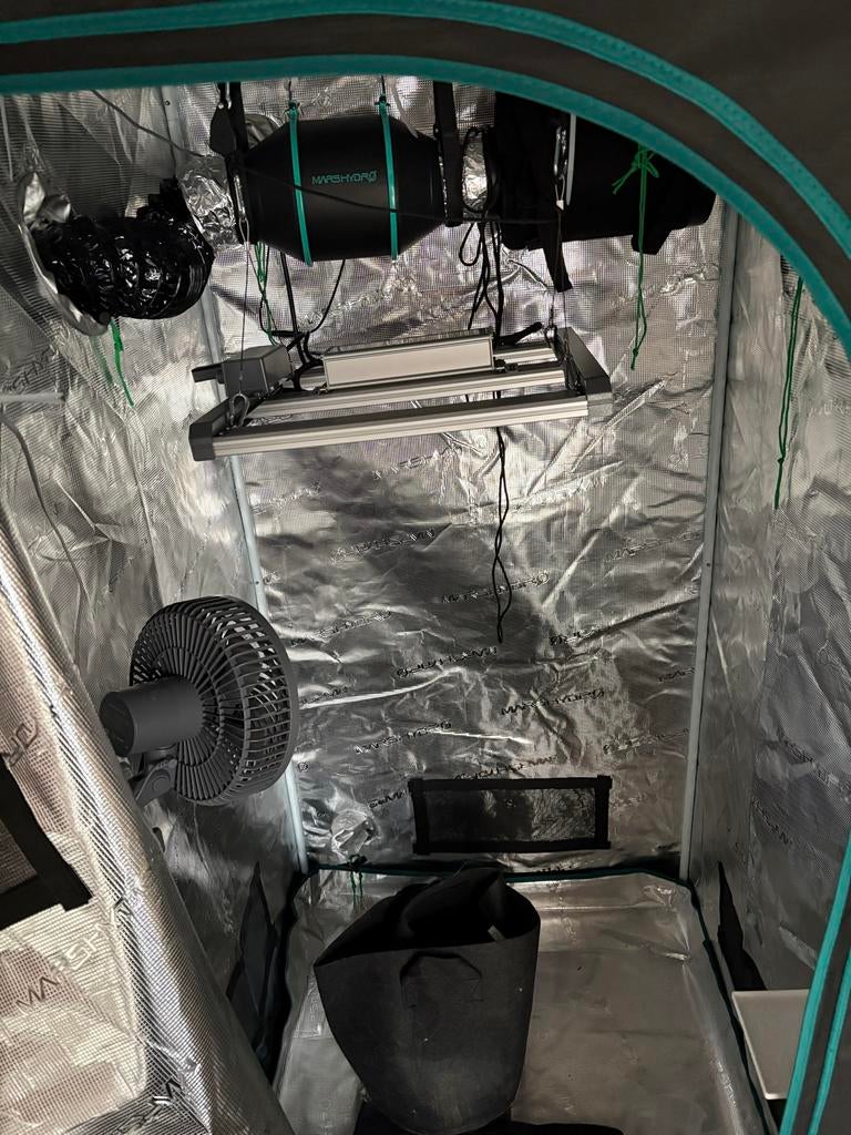 Complete Kweektent Set - Mars Hydro, Ophalen, Zo goed als nieuw, Kweektent