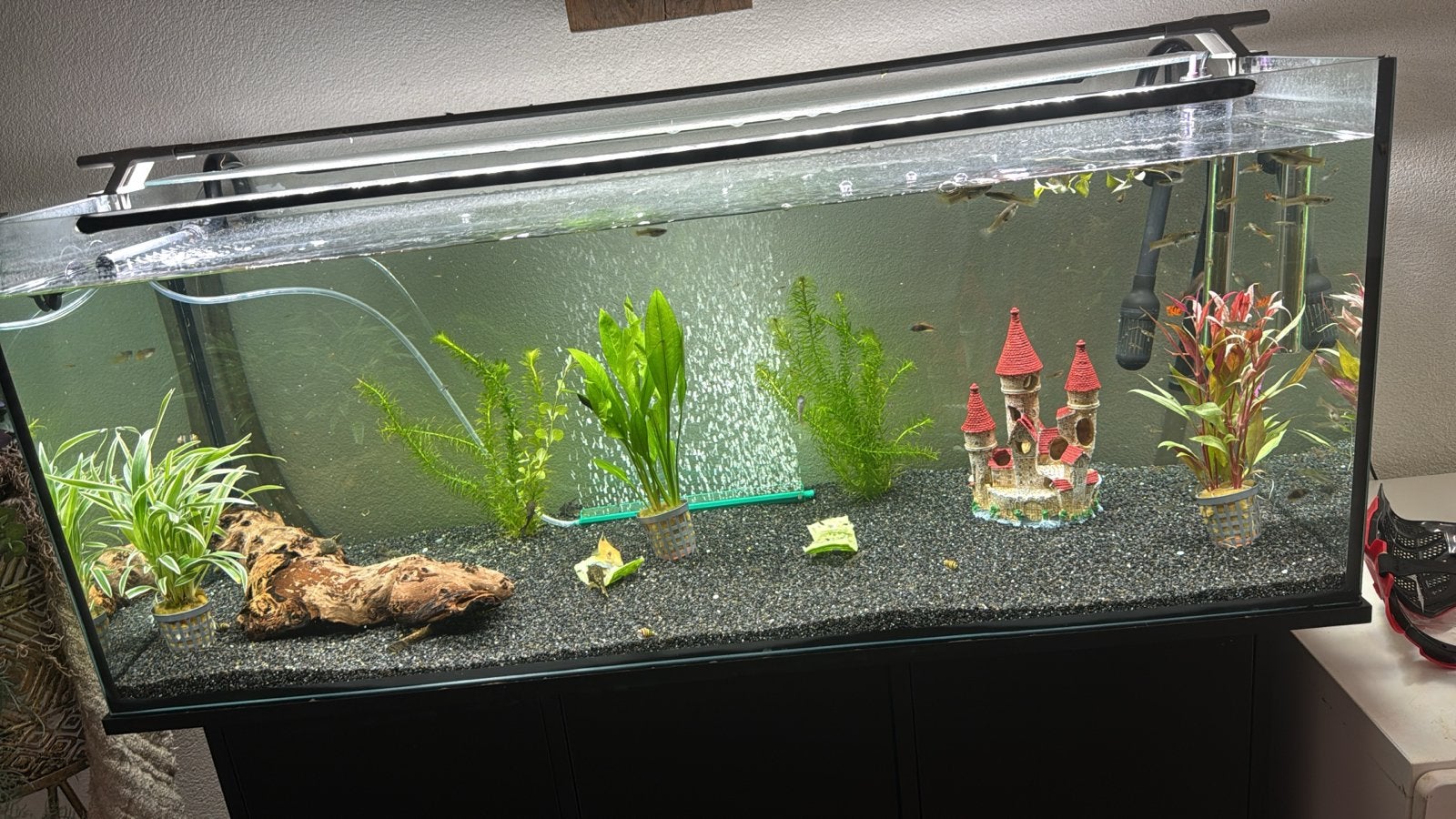Aquarium incl kast 100cm zonder kap, Ophalen, Zo goed als nieuw, Leeg aquarium, Verwarming