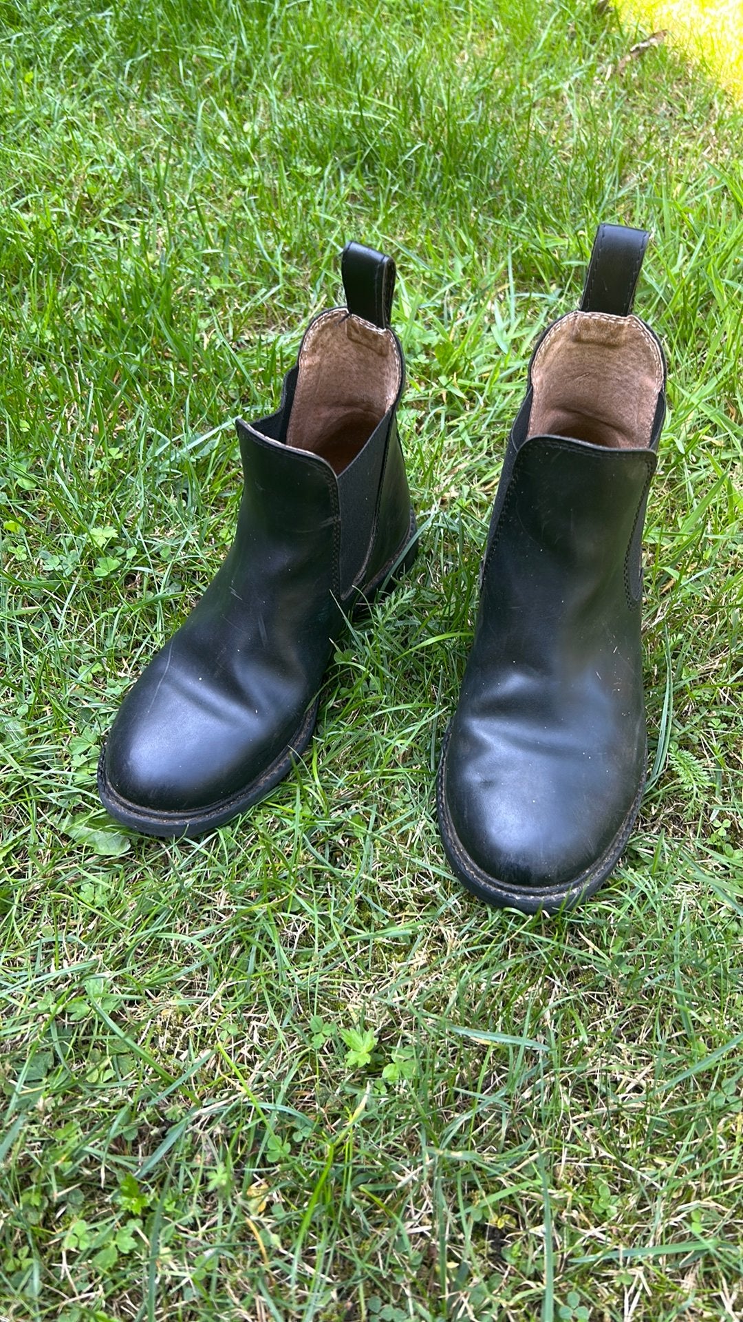 Jodhpurs maat 33, Dieren en Toebehoren, Ophalen of Verzenden, Gebruikt