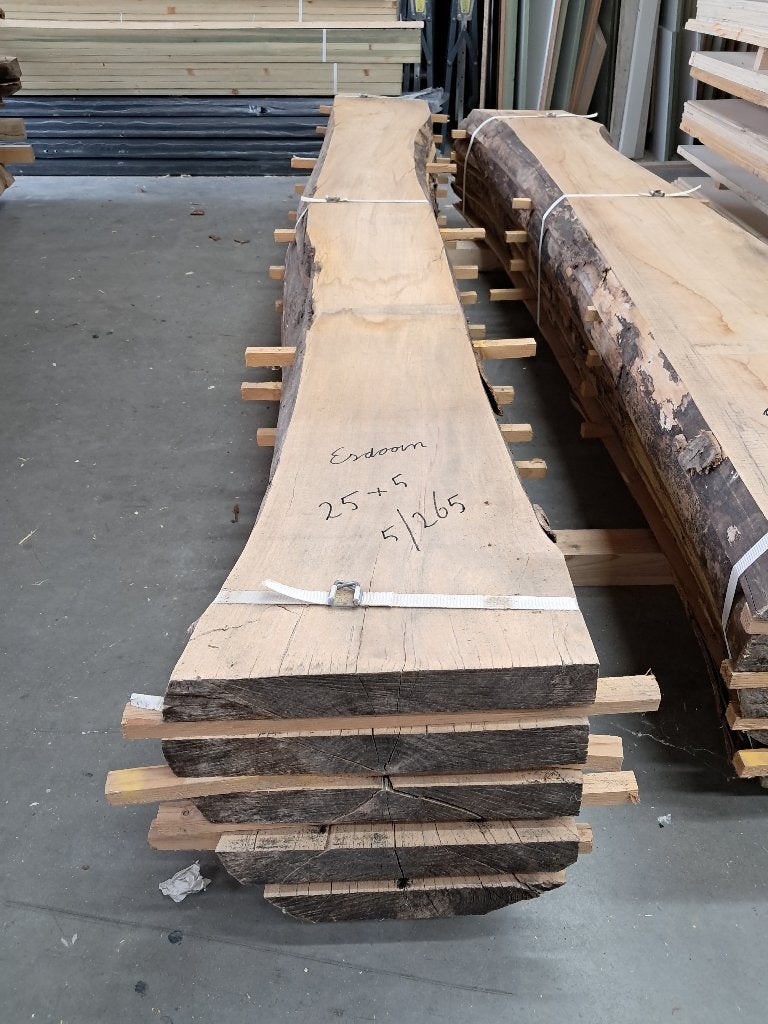 Hout esdoorn, Doe-het-zelf en Verbouw, Hout en Planken, Ophalen, Nieuw, 200 tot 250 cm, Plank