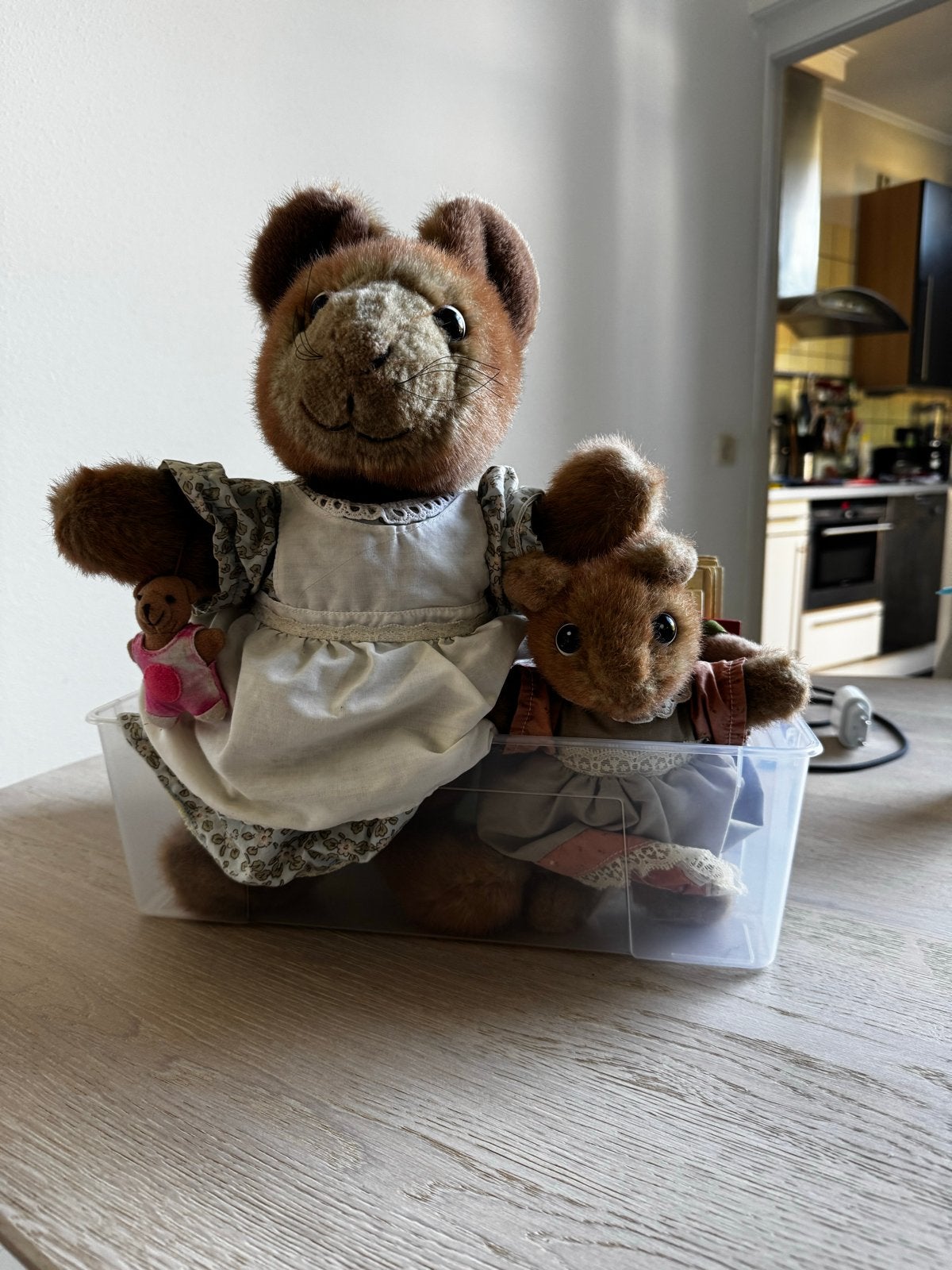 Vera de Muis en Popje, Muis, Gebruikt, Overige merken, Overige karakters