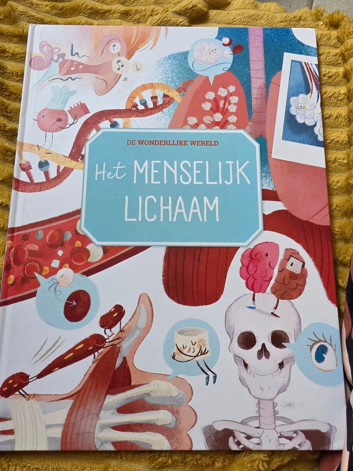Het Menselijk Lichaam, Ophalen, Zo goed als nieuw