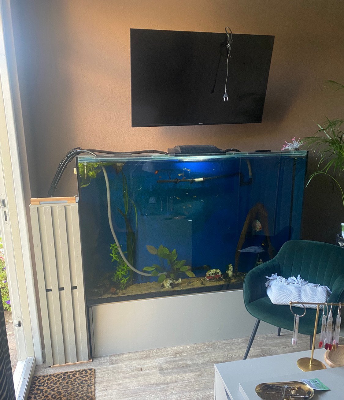 GRATIS Aquarium 1,5 m x 25x 1m, Ophalen, Gebruikt, Leeg aquarium