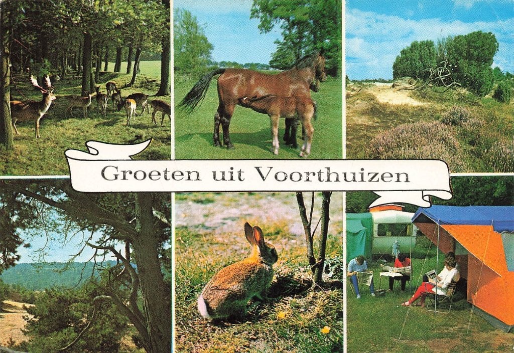 Groeten uit Voorthuizen, Ophalen of Verzenden, 1960 tot 1980, Gelopen, Gelderland