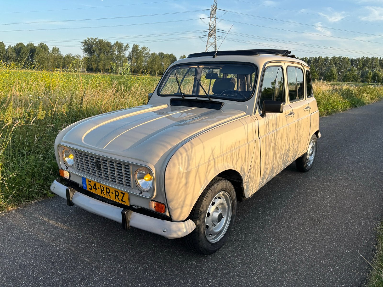 Renault 4 TL 1992 Grijs 956 cc, Zwart, 4 cilinders, 956 cc, Beige