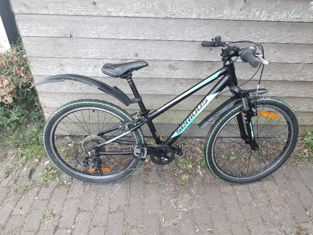Serious Rockville 24 inch MTB, Ophalen, Velgrem, Versnellingen, Serious