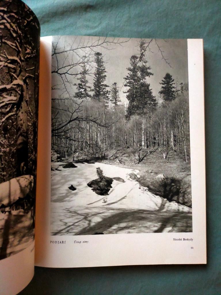 Nase Pralesy (Onze bossen): Rudolf Janda/Zdenka Jandova 1950, Ophalen of Verzenden, Gelezen, Fotografen