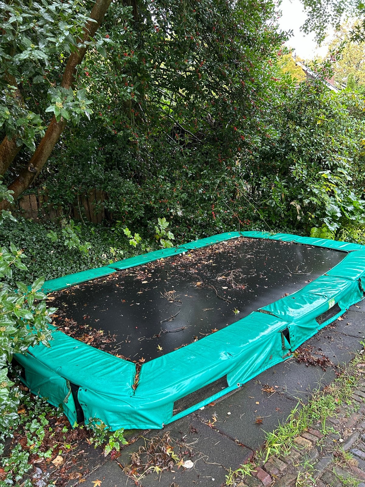 Gratis af te halen: Exit InTerra Inground Trampoline, Ophalen, Gebruikt