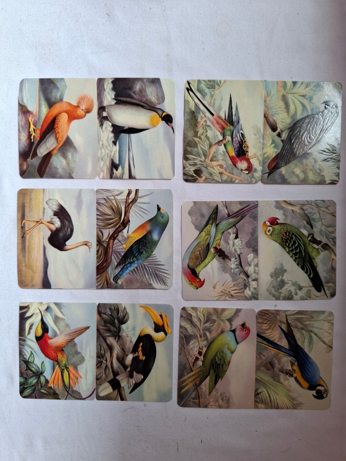 De Gruyter's snoepje van de week 12 verschillende vogels, Ophalen of Verzenden, Zo goed als nieuw, Gebruiksvoorwerp