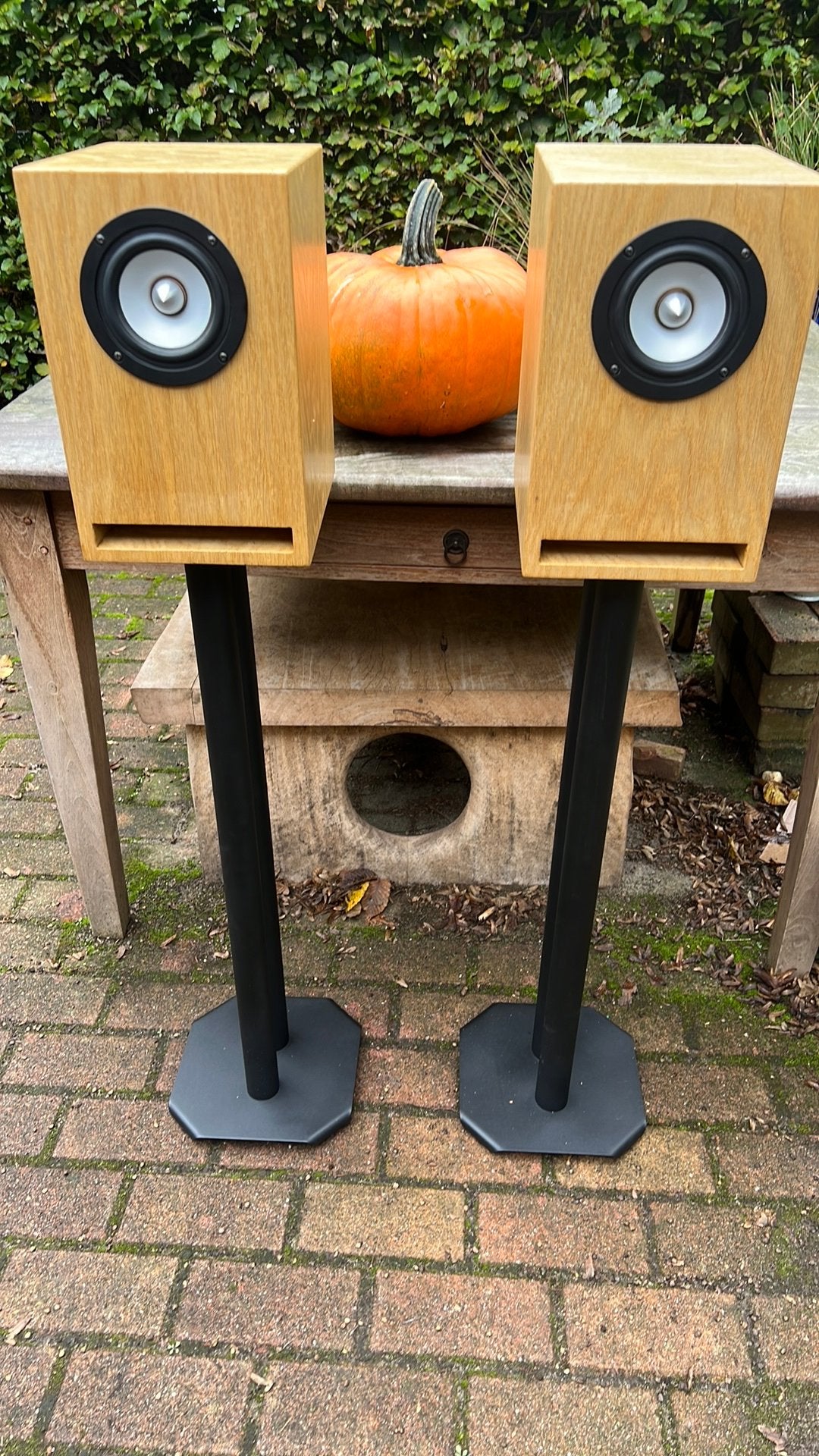 Tang Band w4 6570 zelfbouw luidsprekers inc stends, Vloerstaande luidspreker, Inclusief standaarden, Mvt, Zo goed als nieuw