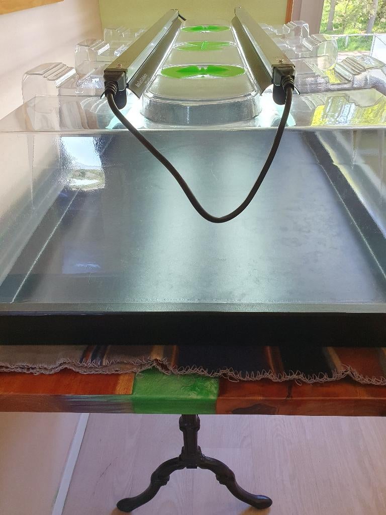 propogator ,binnen kweekkas, Ophalen, Zo goed als nieuw