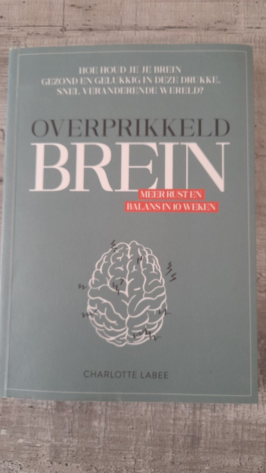 Overprikkeld Brein - Charlotte Labee (Nieuw), Ophalen of Verzenden, Nieuw, Overige onderwerpen, Charlotte Labee