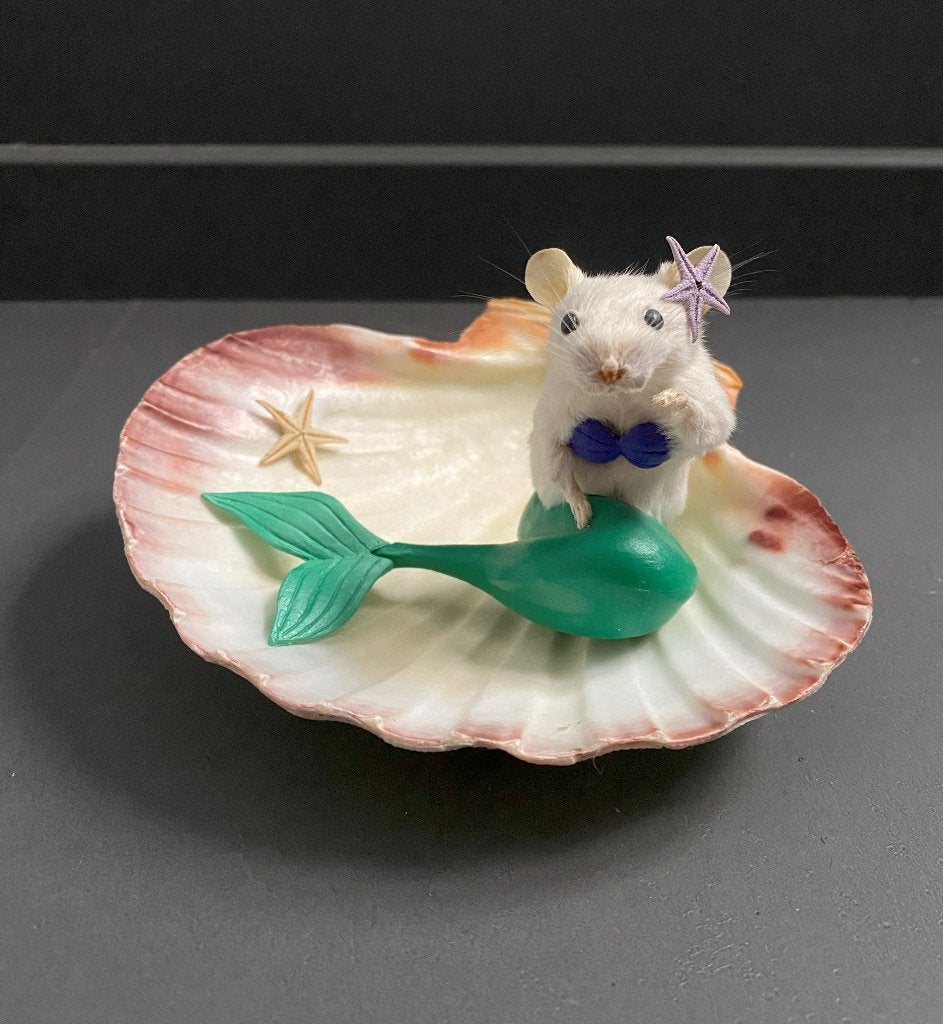 Ariël kleine zeemeermin taxidermie muis, Ophalen of Verzenden, Vogel, Opgezet dier