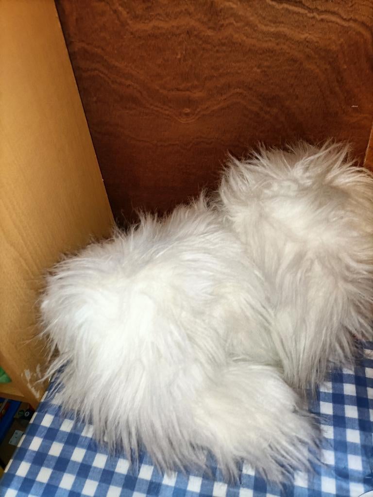 Happy Horse Old English Sheepdog knuffel Duffy uit 1985, Ophalen of Verzenden, Zo goed als nieuw, Stoffen beer, Overige merken