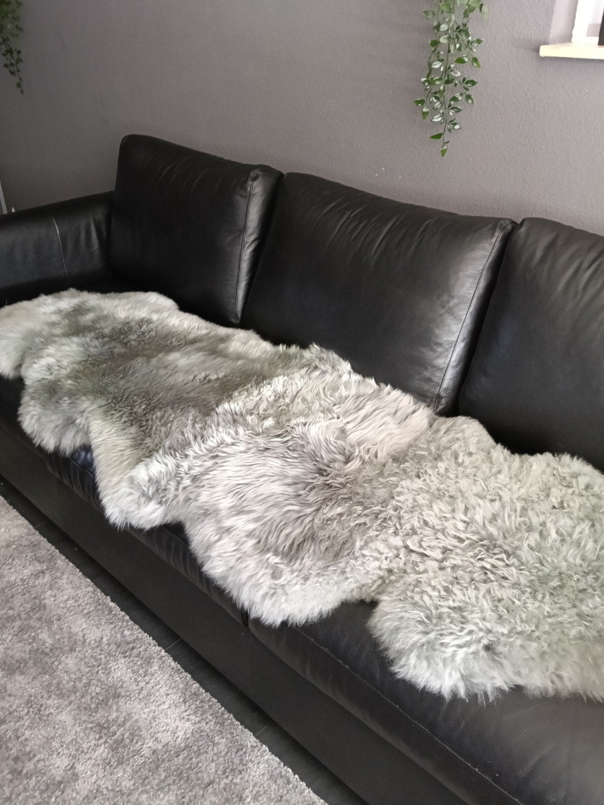 2x schapen vacht xxl, Ophalen