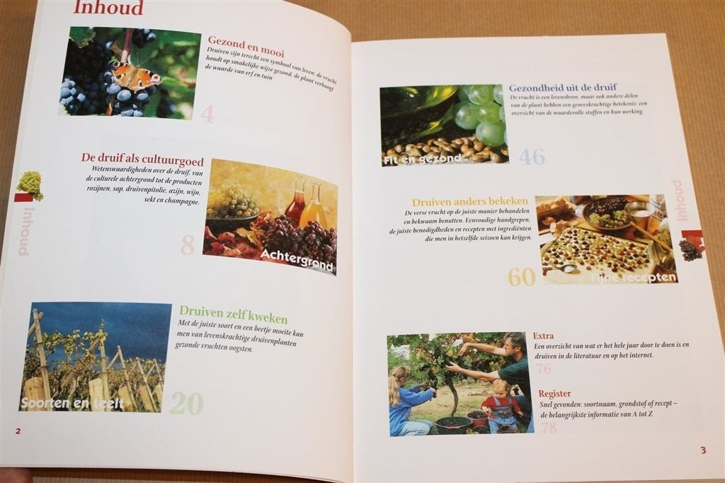 Druiven — Succesvol Kweken in de Moestuin, Ophalen of Verzenden, Zo goed als nieuw