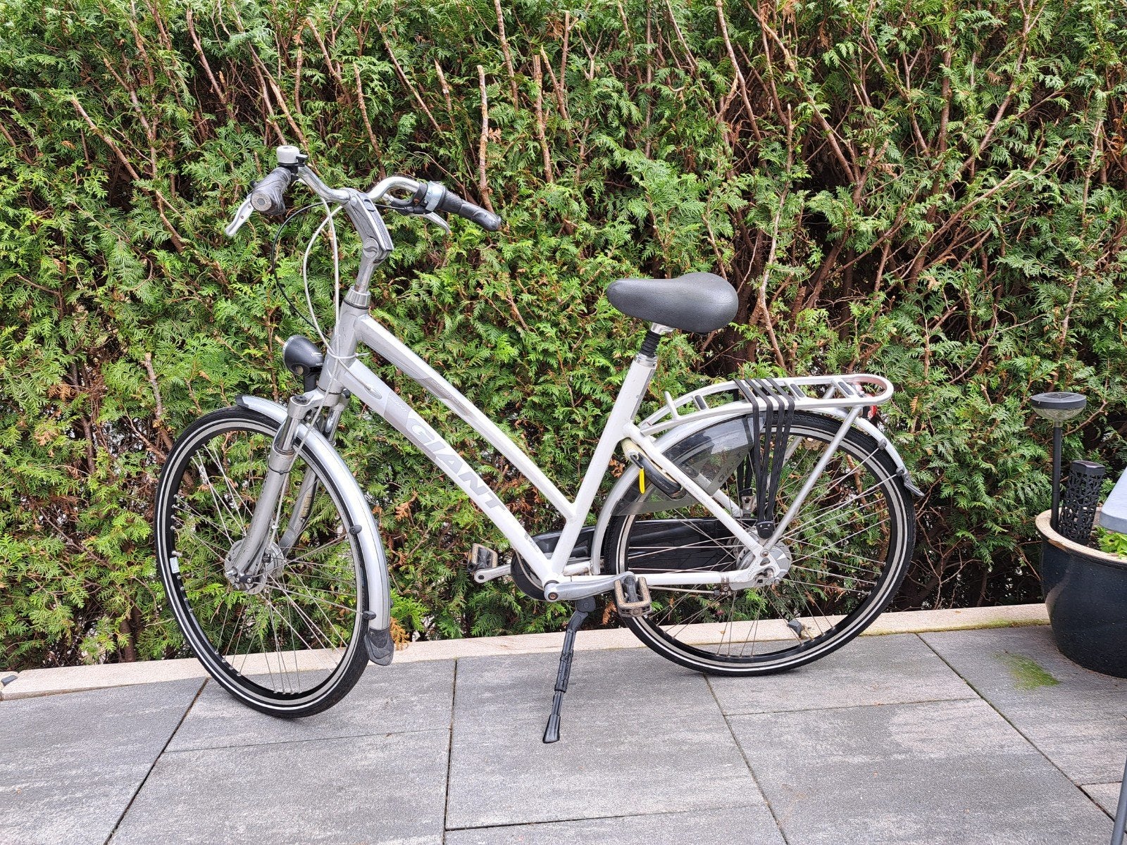 Mooie Giant Dames Jonge Dames Fiets, Ophalen, Gebruikt, Versnellingen, 56 cm of meer