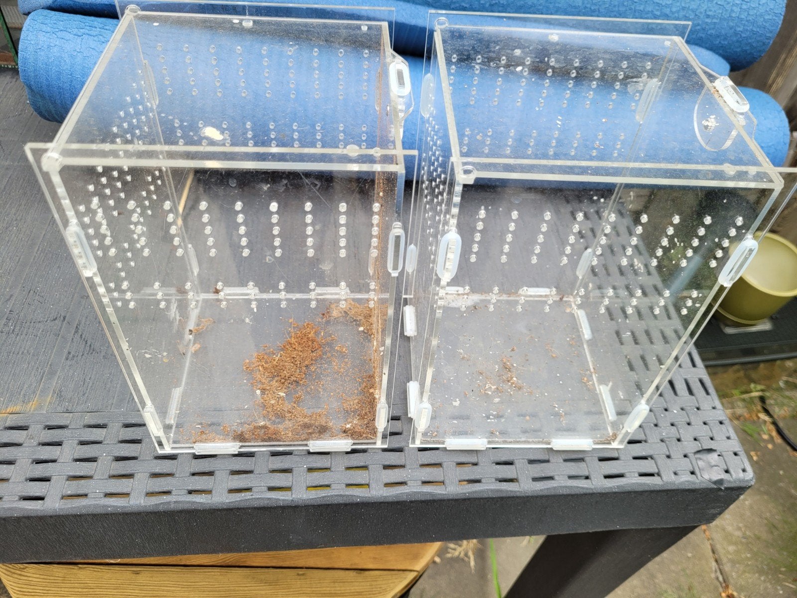 Acryl terrarium, Dieren en Toebehoren, Ophalen of Verzenden, Hout, Vogelkooi