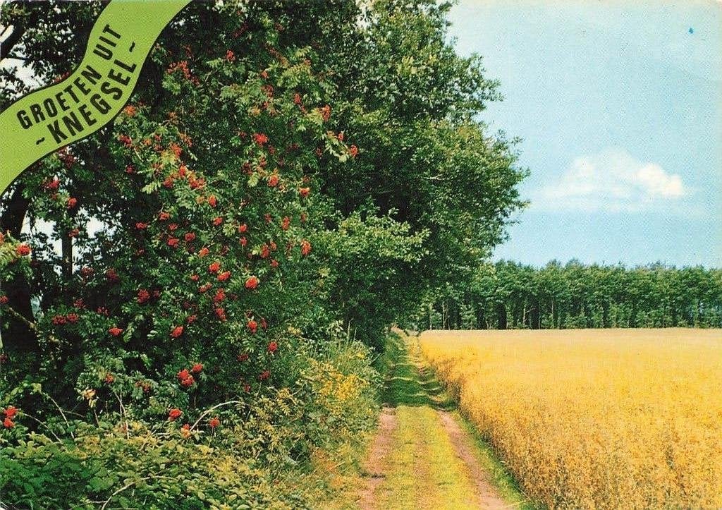 Groeten uit Knegsel, Verzamelen, Ophalen of Verzenden, 1980 tot heden, Gelopen, Noord-Brabant