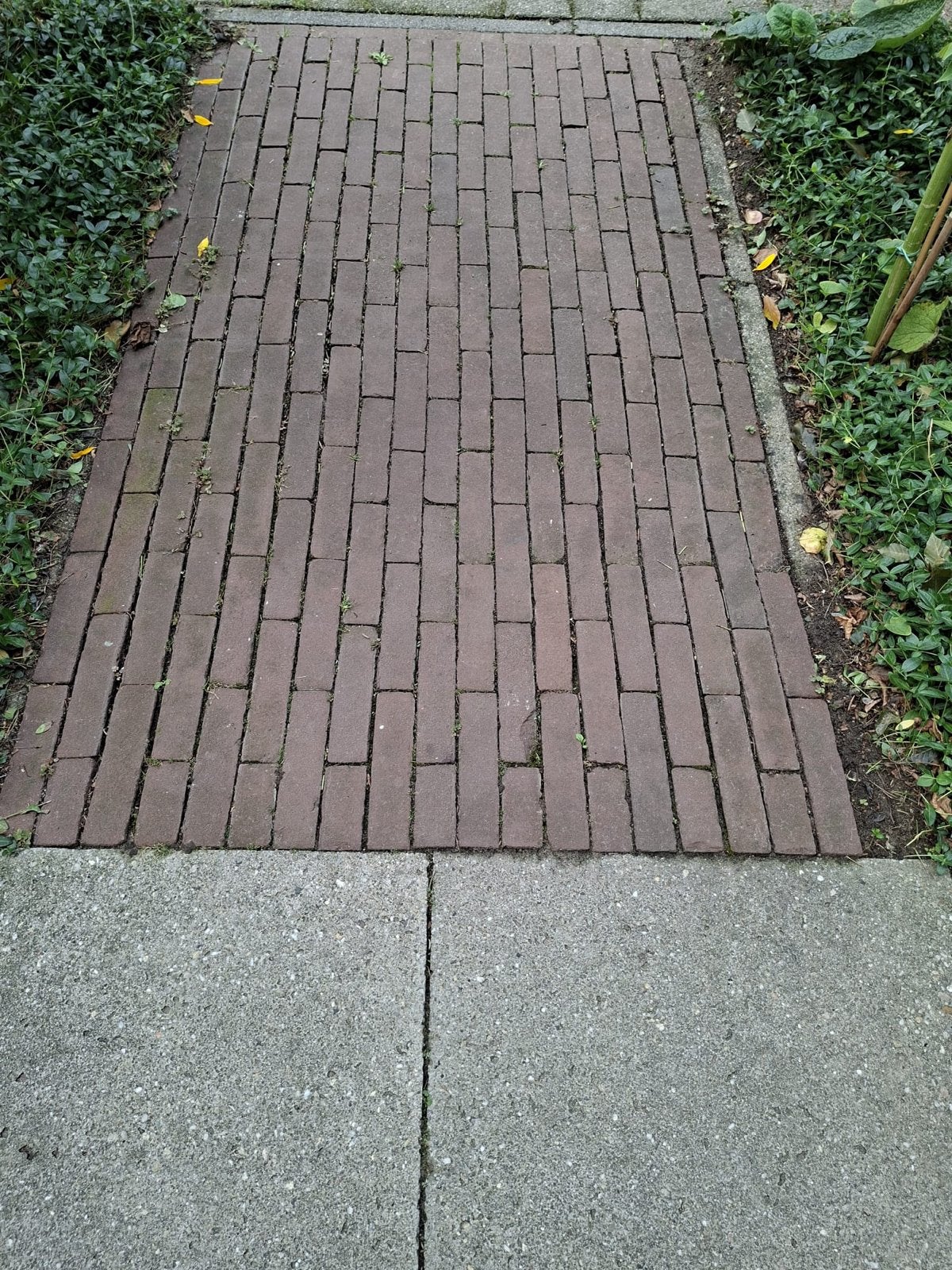 3m2 waaltjes, uiterlijk dit weekend op te halen, Tuin en Terras, Ophalen, Gebruikt, Keramiek, Klinkers
