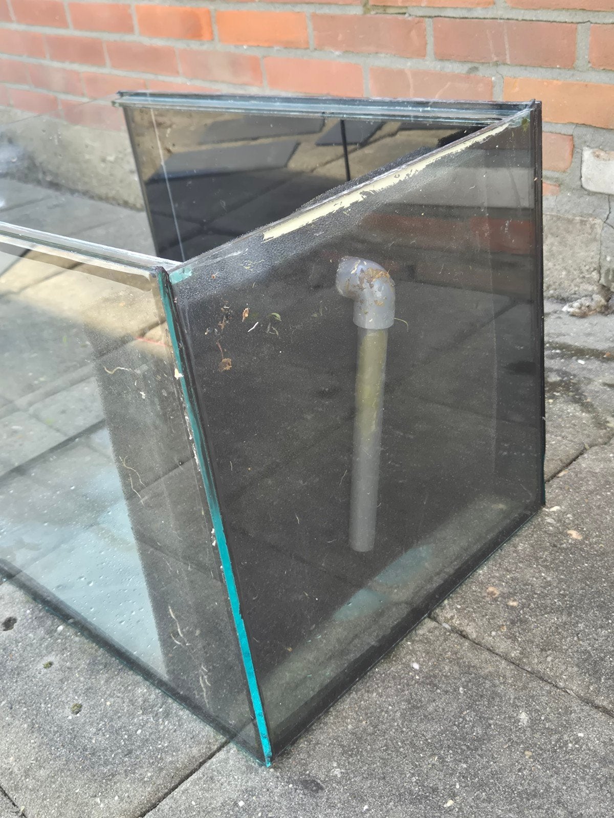 Kweek bakken, Ophalen, Leeg aquarium