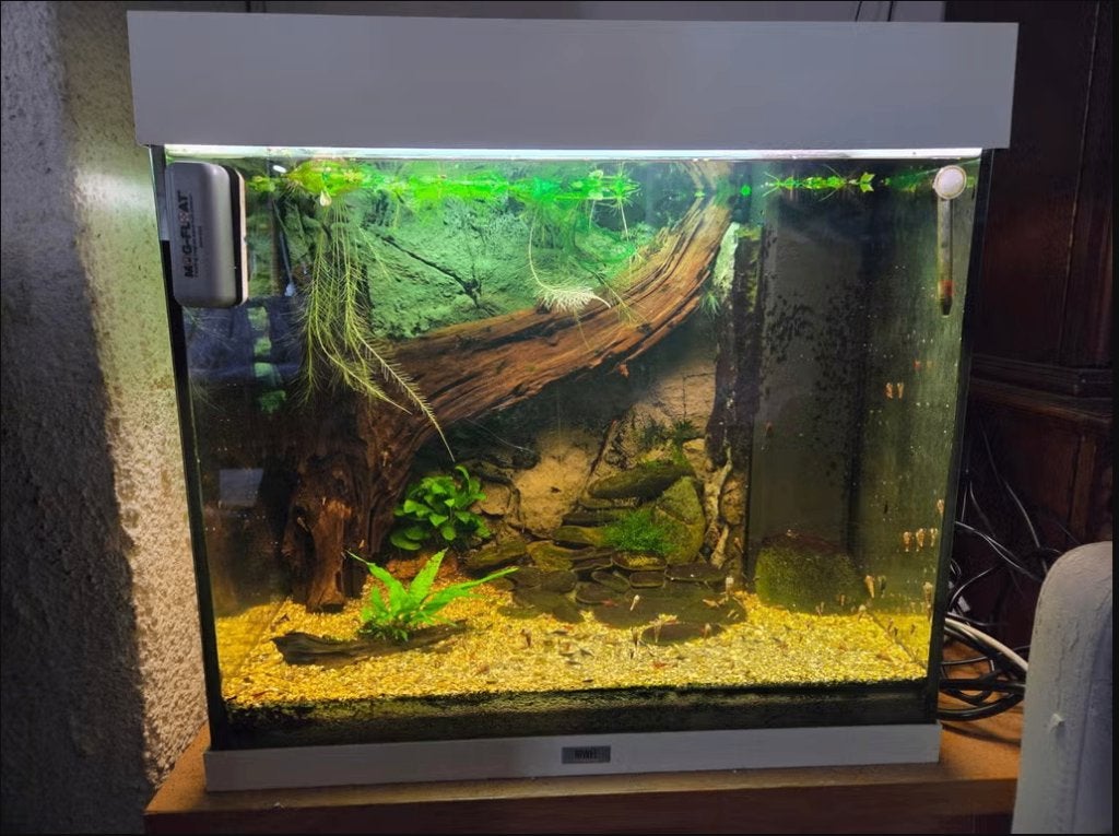 Juwel lido 120 aquarium compleet, Ophalen, Gebruikt, Gevuld zoetwateraquarium, Inclusief vissen