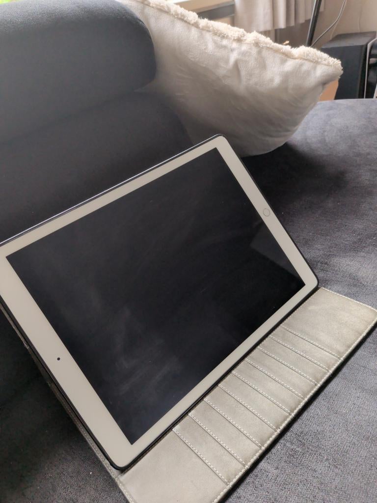 iPad Pro (1e generatie) - Perfect voor werk en ontspanning, Computers en Software, Apple iPads, Gebruikt, Apple iPad Pro, Wi-Fi