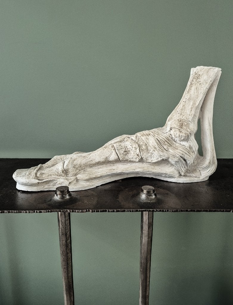 Anatomisch model voet XL!