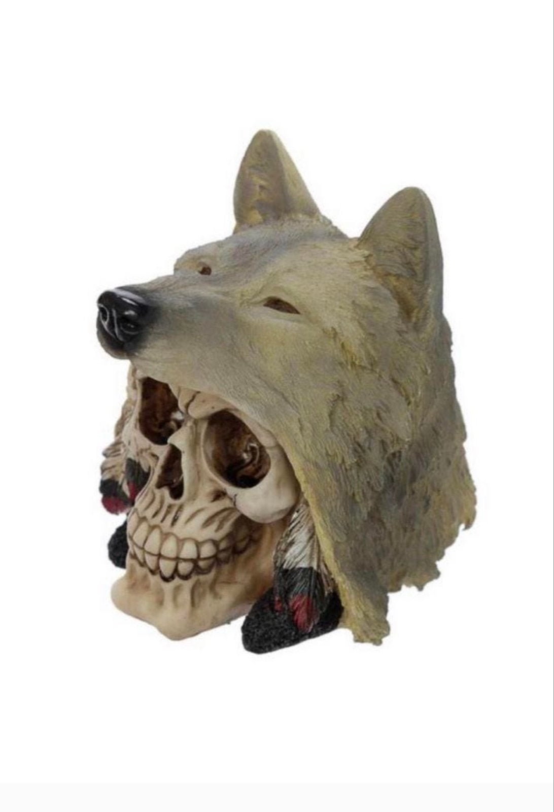 Unieke Wolf Schedel Decoratie - Halloween & Woonaccessoire, Ophalen of Verzenden, Nieuw, Fantasy