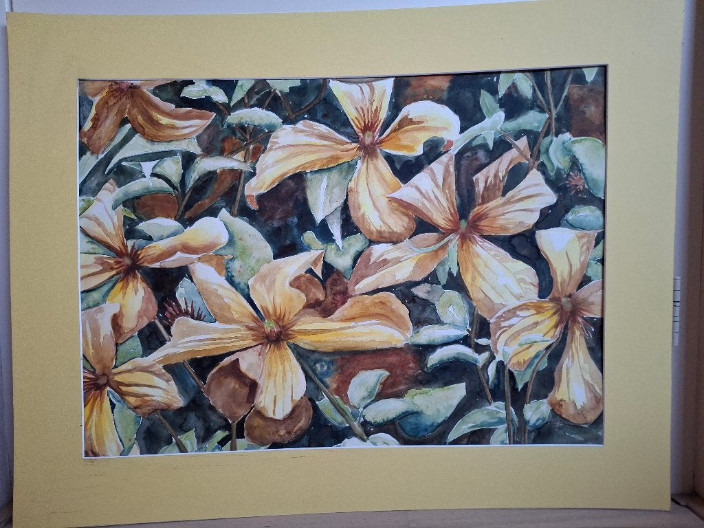 Aquarel bloemen 90x70 cm met passe-partout, Ophalen