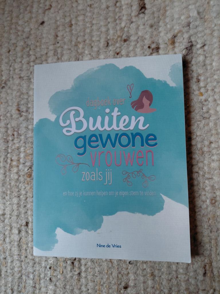 Dagboek over Buitengewone Vrouwen - Nine de Vries, Ophalen of Verzenden, Nieuw, Nine de Vries, Christendom | Protestants