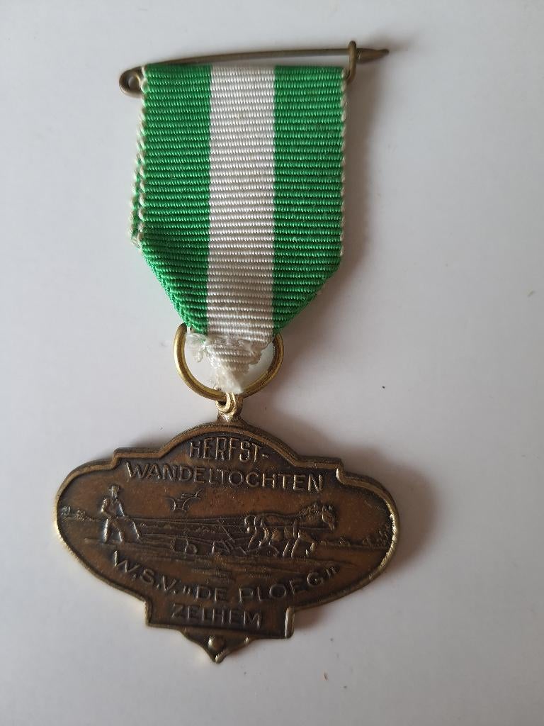 Wandelmedaille herfsttocht Zelhem, Postzegels en Munten, Ophalen of Verzenden, Overige materialen, Nederland