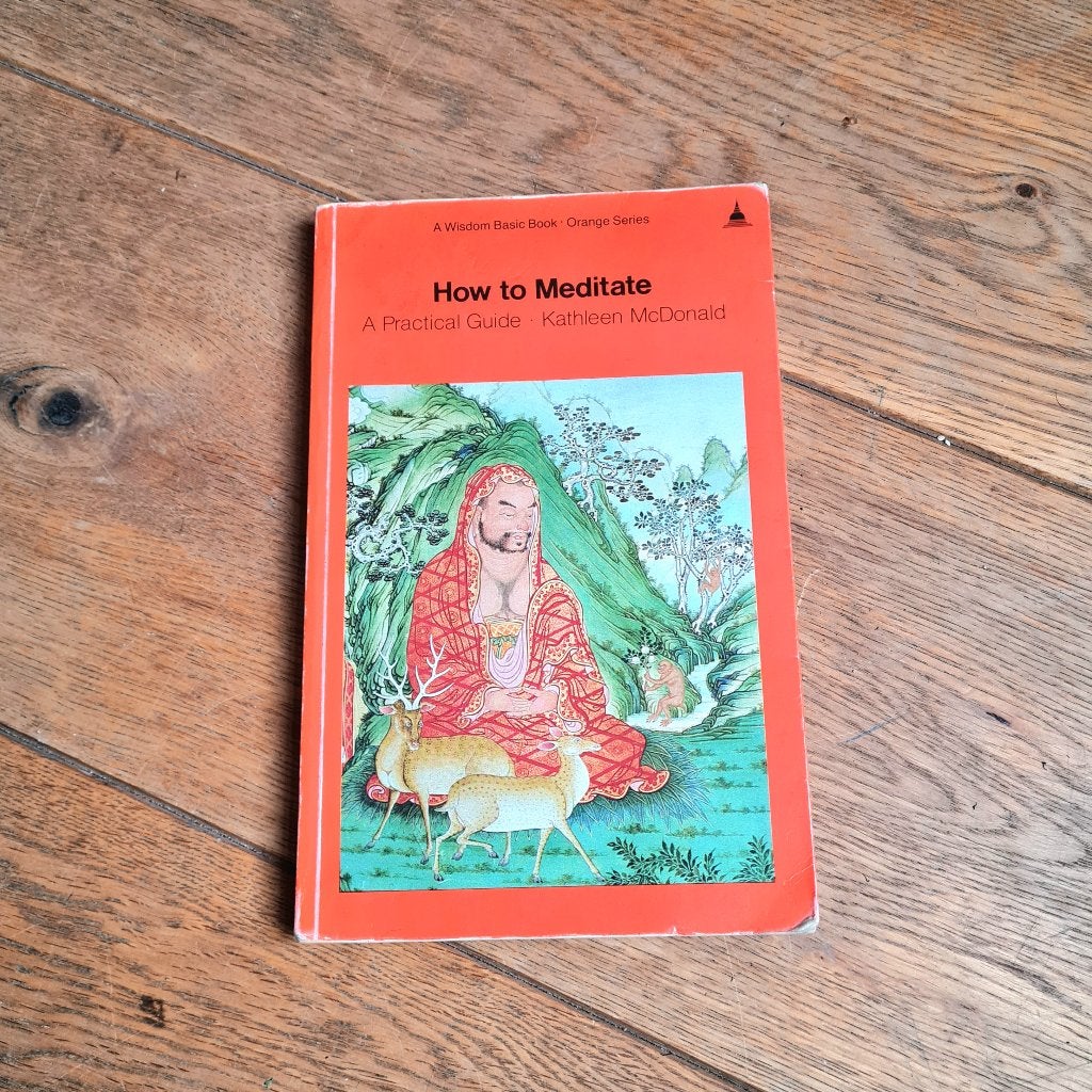 How to Meditate by Kathleen McDonald, Boeken, Esoterie en Spiritualiteit, Gelezen, Meditatie of Yoga, Ophalen of Verzenden, Kathleen McDonald