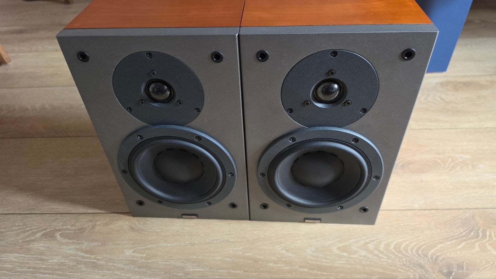Dynaudio Audience 52se in zeer mooie staat., Ophalen of Verzenden, Zo goed als nieuw, Overige merken