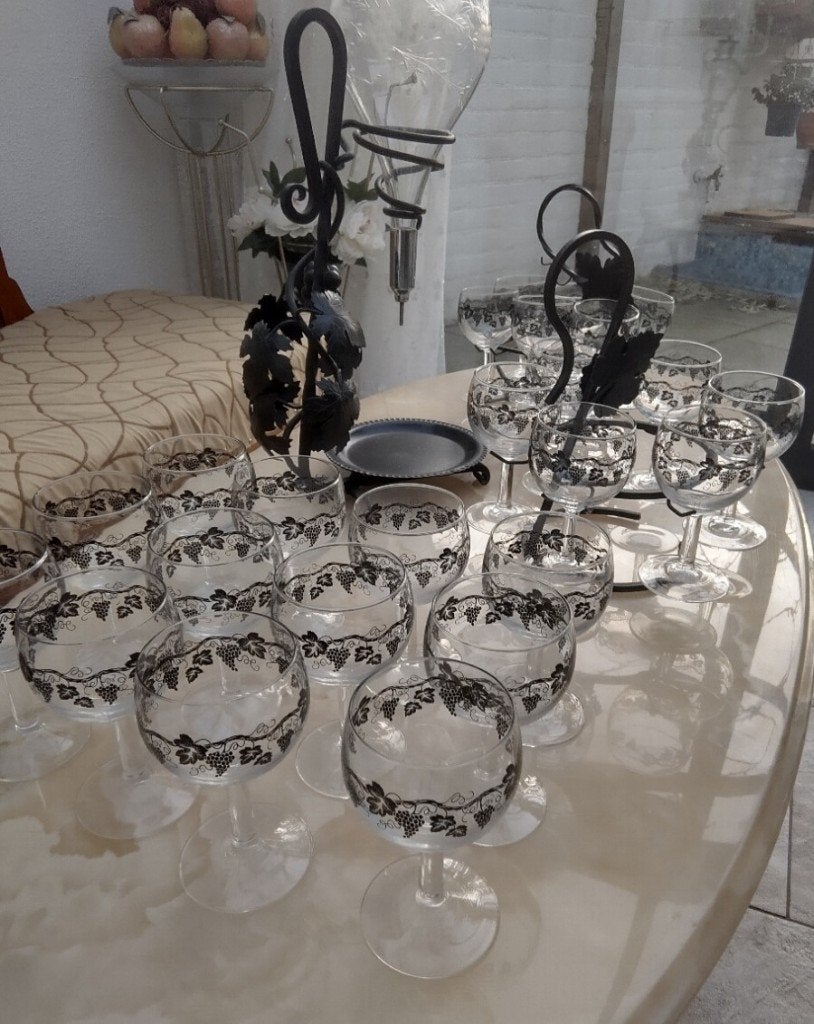 Wijnset met decanter, 2 wijnglashouders en totaal 24 glazen, Ophalen of Verzenden, Zo goed als nieuw, Overige gebieden, Overige typen