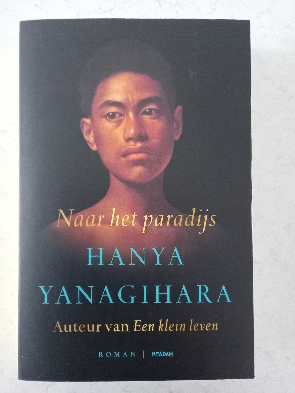 Hanya Yanagihara - Naar het paradijs, Nieuw, Ophalen of Verzenden, Hanya Yanagihara, Amerika